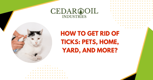How to Get Rid of Ticks: Pets, Home, Yard and More?