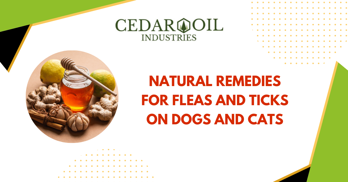 Illustration of Cedar Oil For Indoor Flea Control