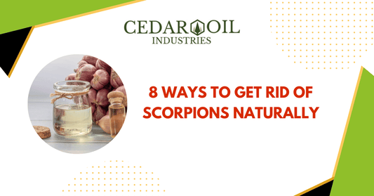 8 Ways to Get Rid of Scorpions Naturally