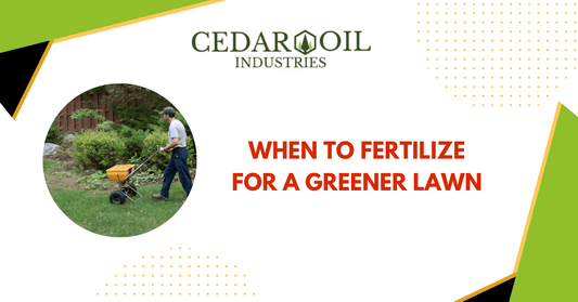 When to Fertilize for a Greener Lawn