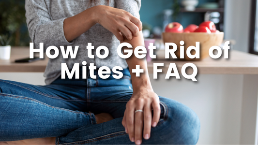How to Get Rid of Mites: FAQ