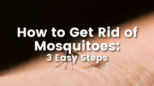 how to get rid of mosquitoes: 3 easy steps