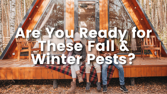 are you ready for these fall & winter pests?