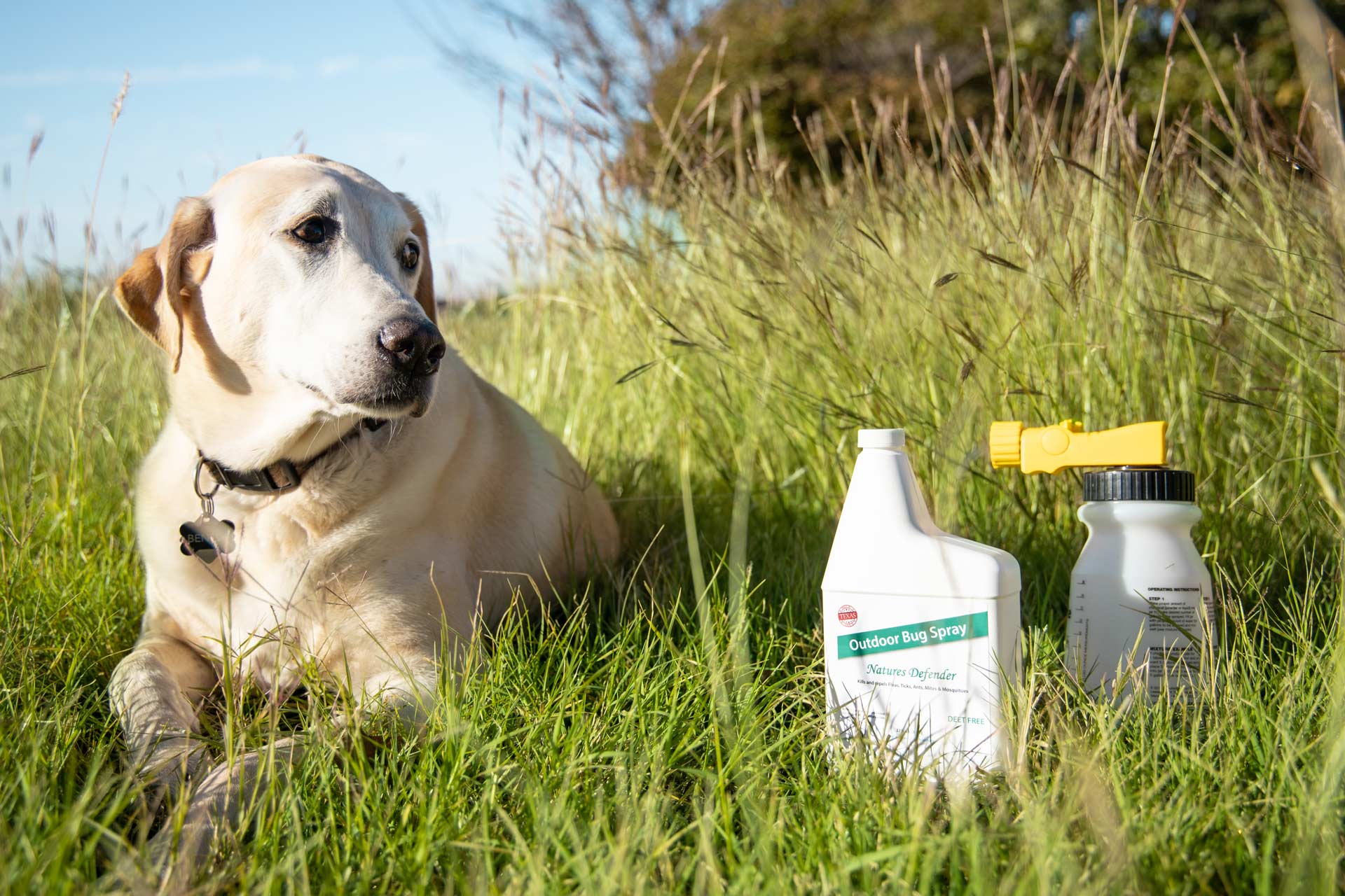 dog laying next to Nature's Defender in the grass