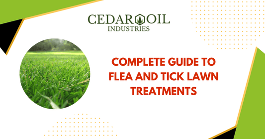 Complete Guide to Flea and Tick Lawn Treatments