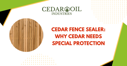 Cedar Fence Sealer: Why Cedar Needs Special Protection