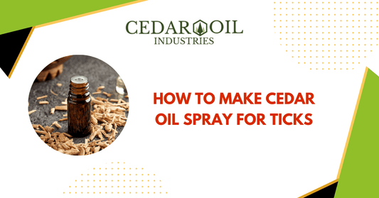 How To Make Cedar Oil Spray For Ticks
