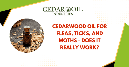 Cedarwood Oil for Fleas, Ticks, and Moths - Does It Really Work?