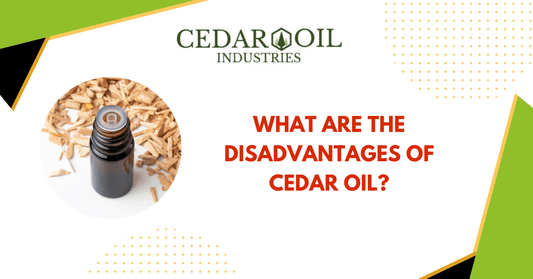 What Are The Disadvantages Of Cedar Oil?