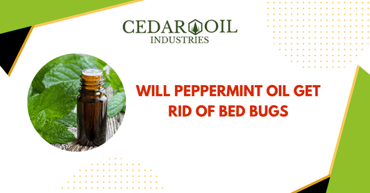 Will Peppermint Oil Get Rid Of Bed Bugs