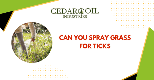 Can you spray grass for ticks
