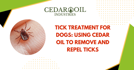 Tick Treatment for Dogs: Using Cedar Oil to Remove and Repel Ticks