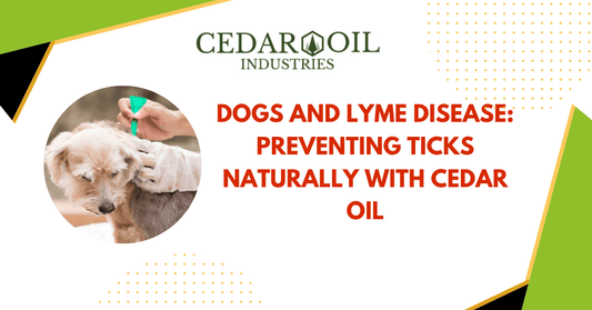 Dogs And Lyme Disease