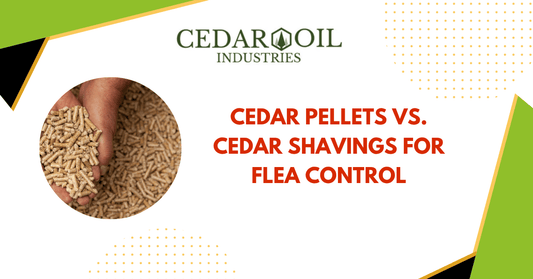 Cedar Pellets vs Cedar Shavings For Flea Control