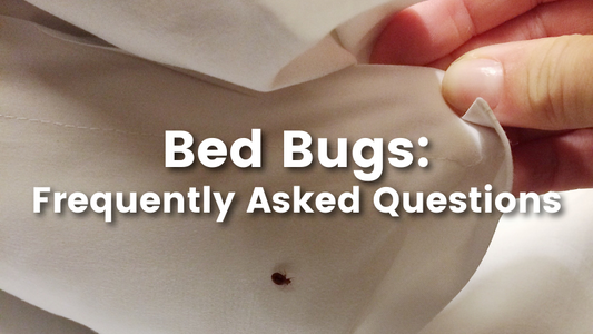 Cedar oil store blog post image, bed bugs: Frequently Asked Questions