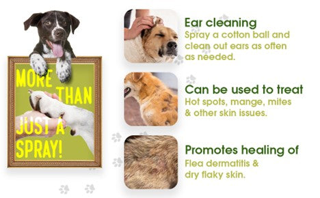 Paws & Claws plant based flea & tick Spray for pets
