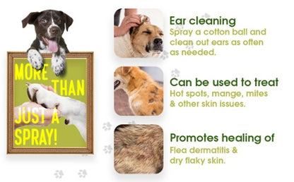 Paws & Claws plant based flea & tick Spray for pets