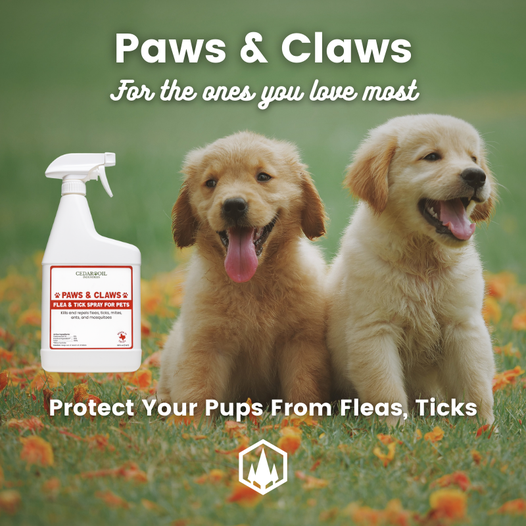 Paws & Claws plant based flea & tick Spray for pets