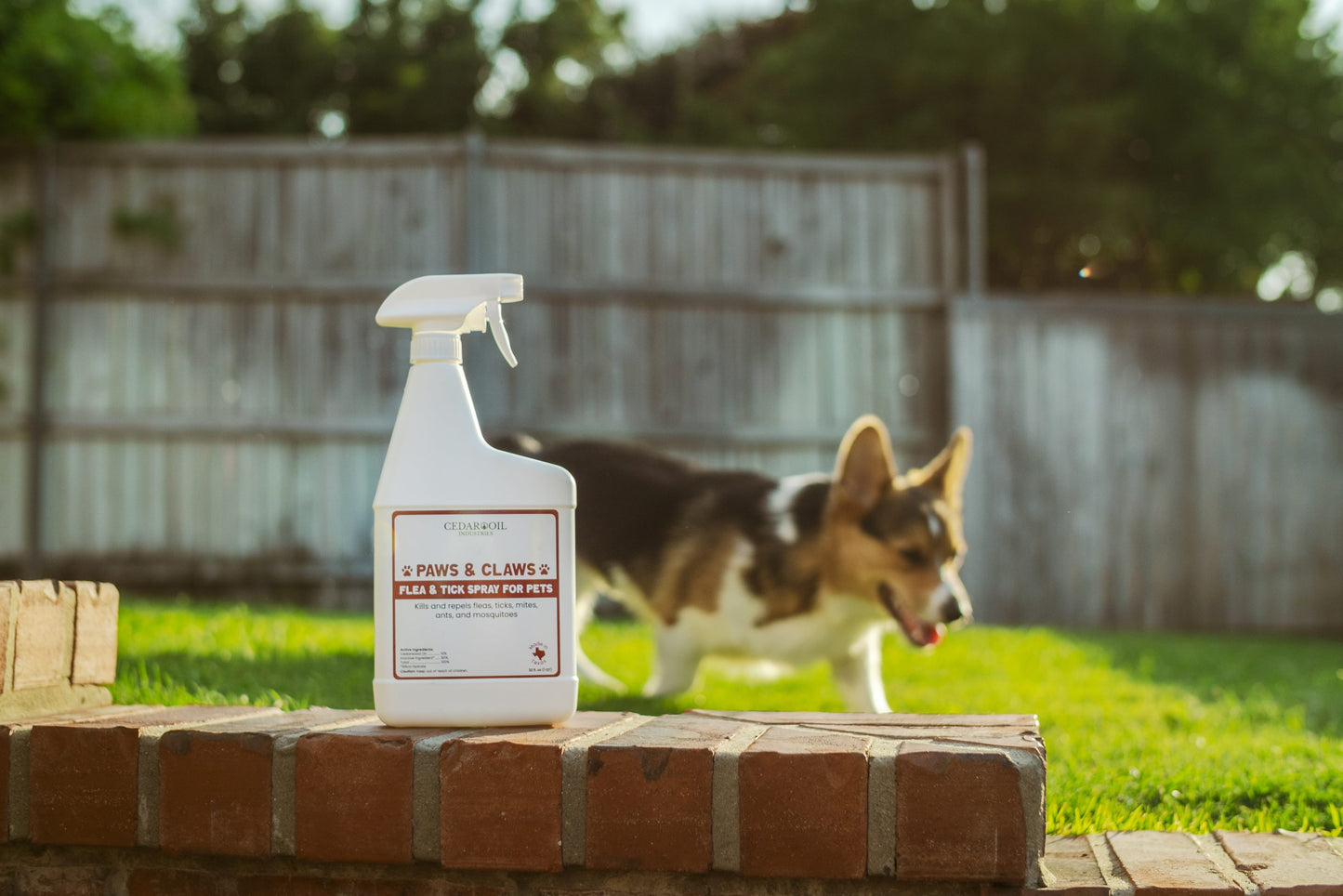 Paws & Claws Dog Spray