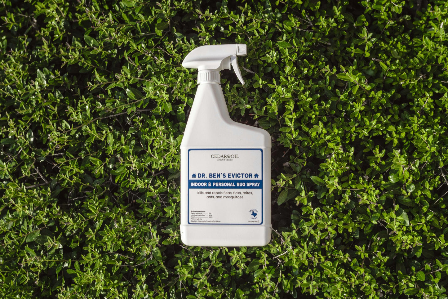 Dr. Ben's Evictor indoor and personal bug spray bottle on green grass