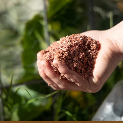 Hand holding Cedar Granules insect repellent in a garden setting